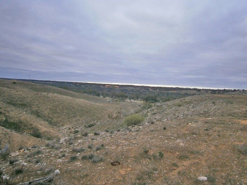 Lot 31 Sturt Highway, Waikerie SA 5330