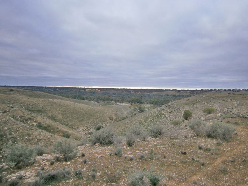 Lot 31 Sturt Highway, Waikerie SA 5330