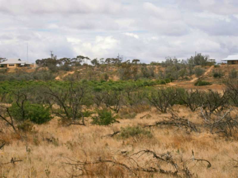 Lot 31 Sturt Highway, Waikerie SA 5330