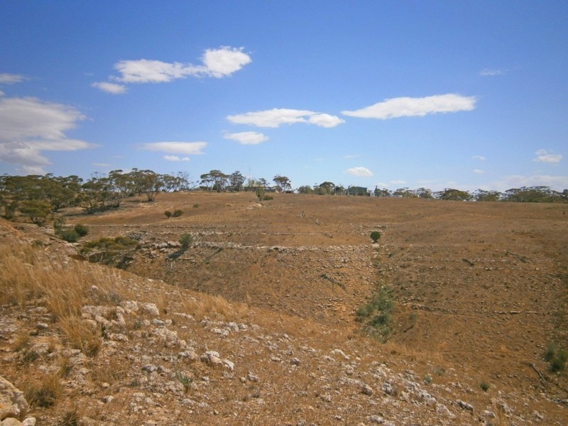 Lot 31 Sturt Highway, Waikerie SA 5330