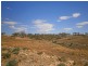 Lot 31 Sturt Highway, Waikerie SA 5330
