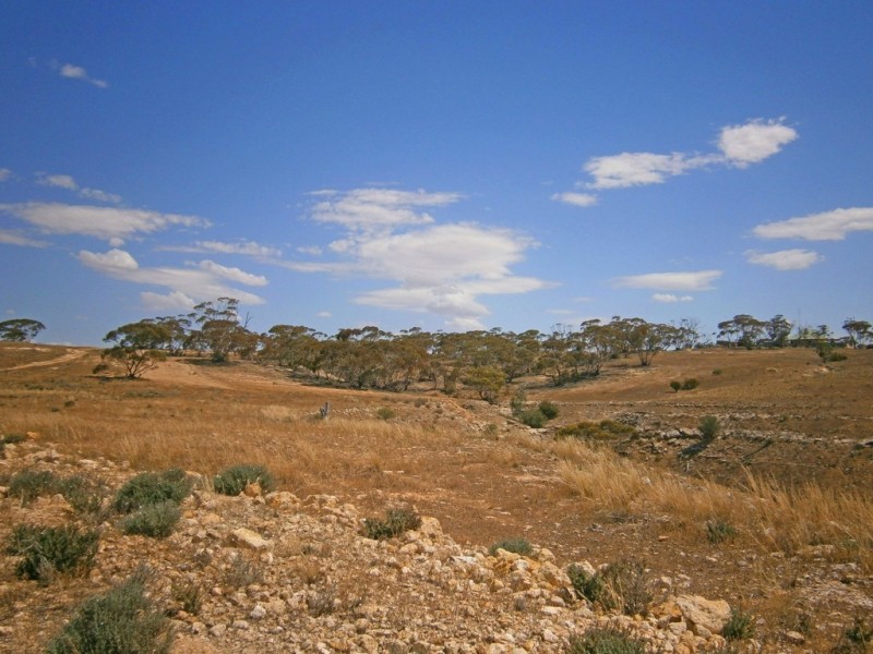 Lot 31 Sturt Highway, Waikerie SA 5330