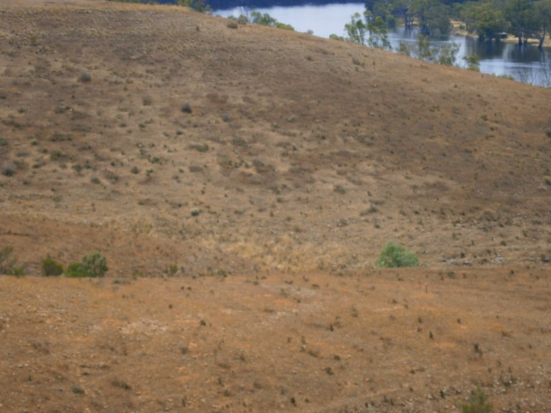 Lot 31 Sturt Highway, Waikerie SA 5330