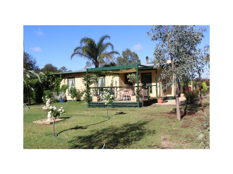 19 FOSTER ROAD, Waikerie SA 5330