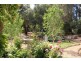 19 FOSTER ROAD, Waikerie SA 5330