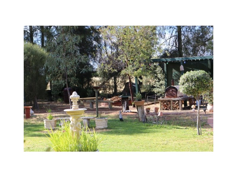 19 FOSTER ROAD, Waikerie SA 5330