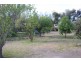 19 FOSTER ROAD, Waikerie SA 5330