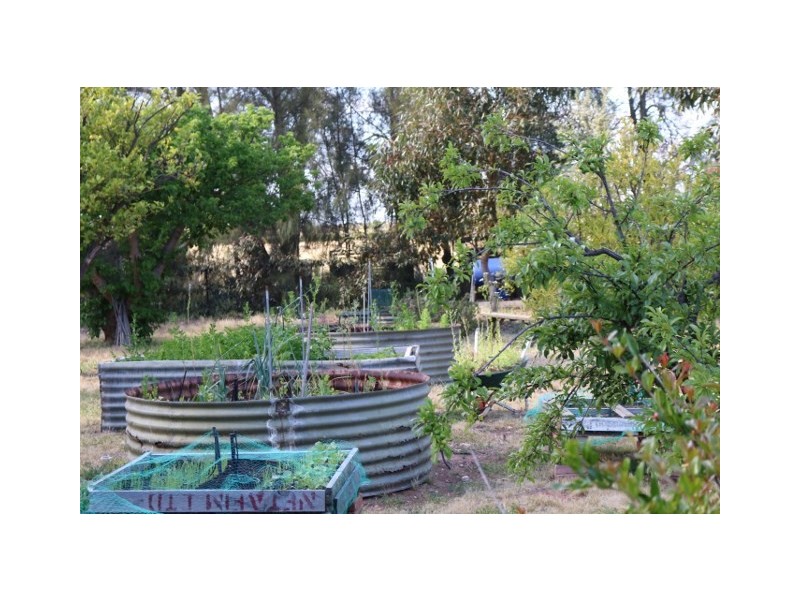 19 FOSTER ROAD, Waikerie SA 5330