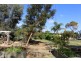 19 FOSTER ROAD, Waikerie SA 5330