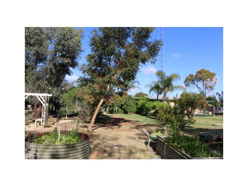 19 FOSTER ROAD, Waikerie SA 5330
