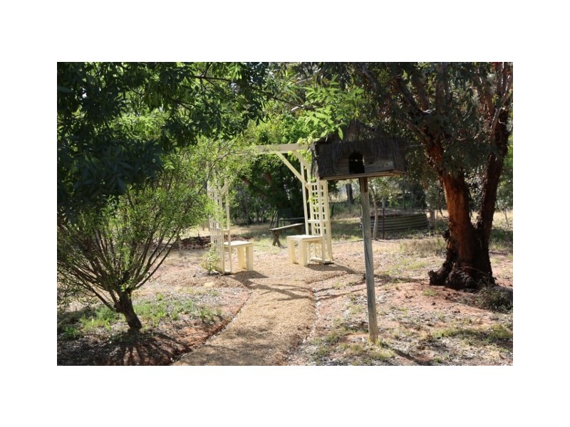 19 FOSTER ROAD, Waikerie SA 5330