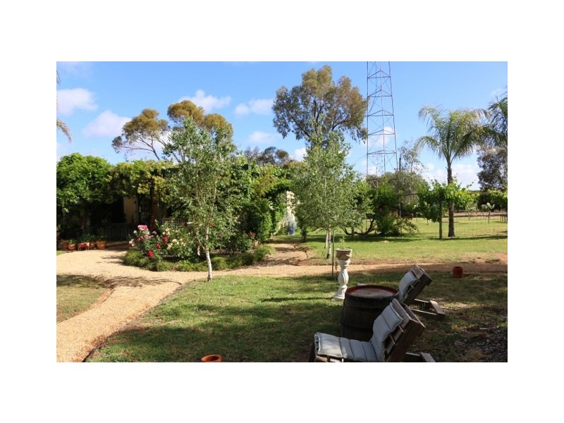 19 FOSTER ROAD, Waikerie SA 5330