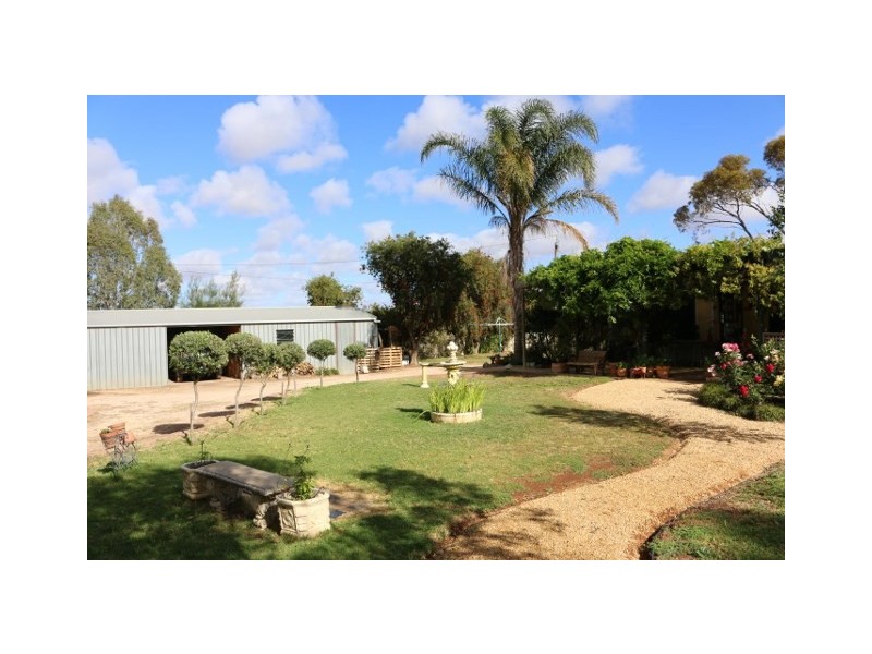 19 FOSTER ROAD, Waikerie SA 5330