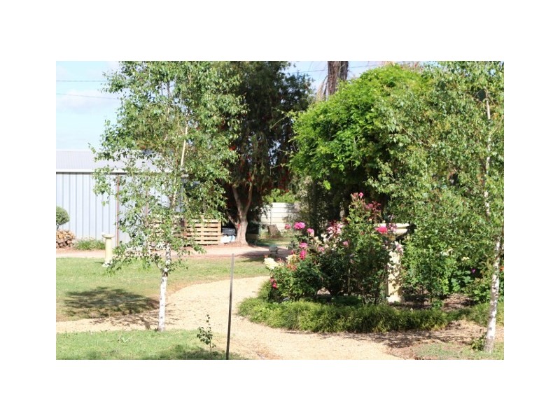 19 FOSTER ROAD, Waikerie SA 5330