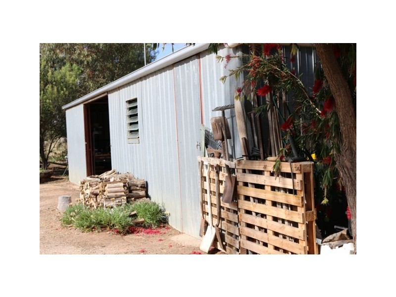 19 FOSTER ROAD, Waikerie SA 5330