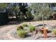 19 FOSTER ROAD, Waikerie SA 5330