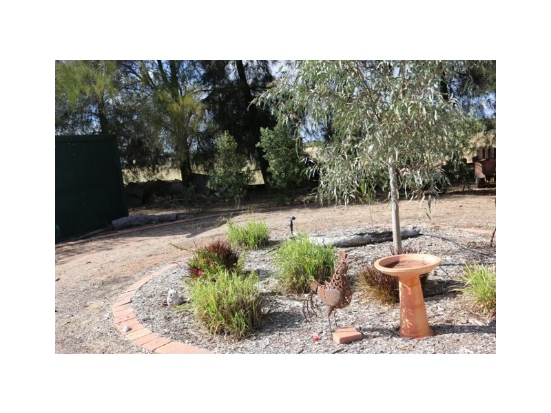 19 FOSTER ROAD, Waikerie SA 5330
