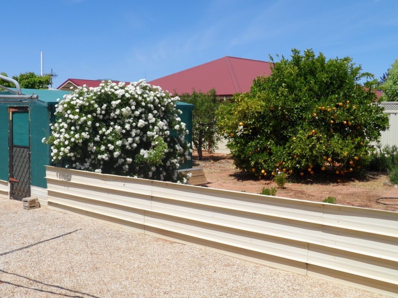 31 Eringa Avenue, Loxton SA 5333
