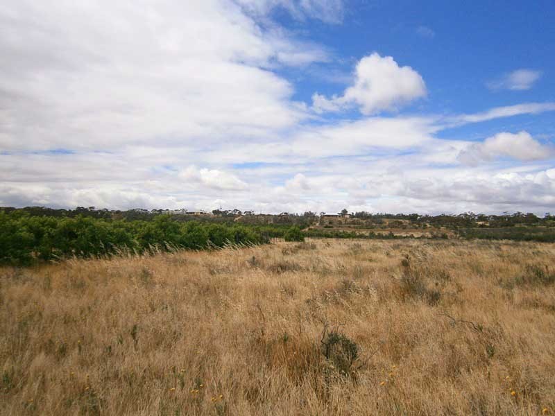 Lot 9 Claxton Road, Cadell SA 5321