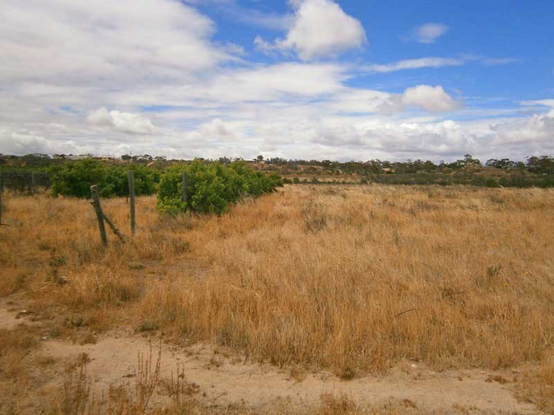 Lot 9 Claxton Road, Cadell SA 5321