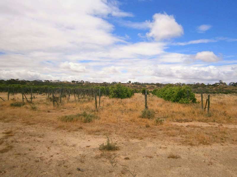 Lot 9 Claxton Road, Cadell SA 5321