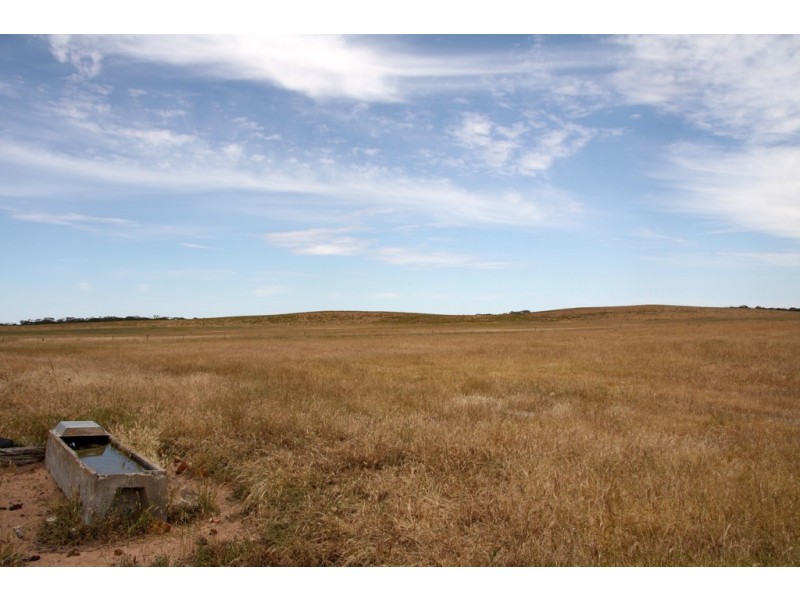 398 Martins Road, Halidon SA 5309