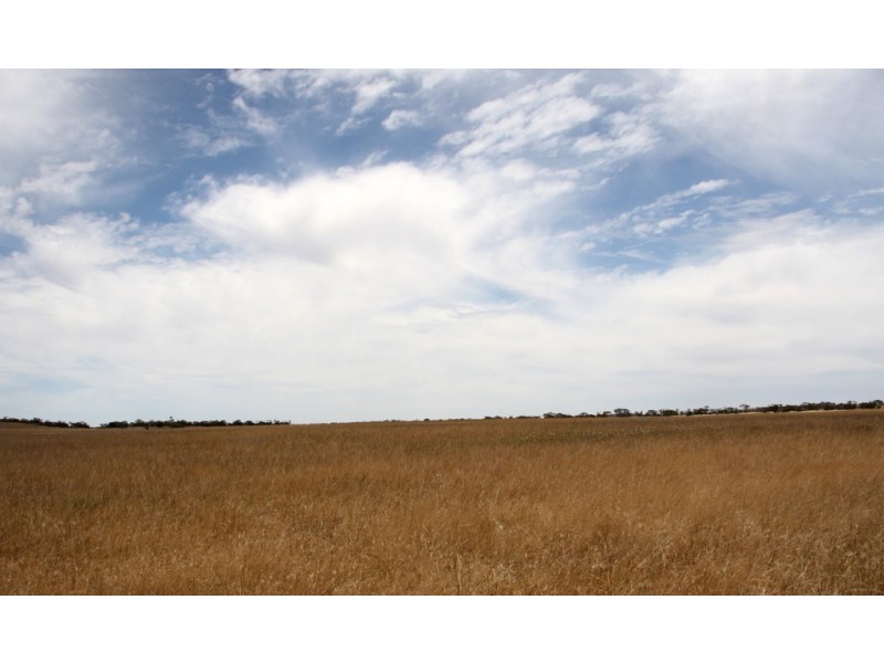 398 Martins Road, Halidon SA 5309