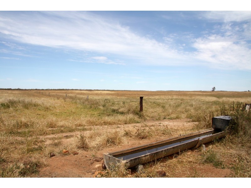 398 Martins Road, Halidon SA 5309