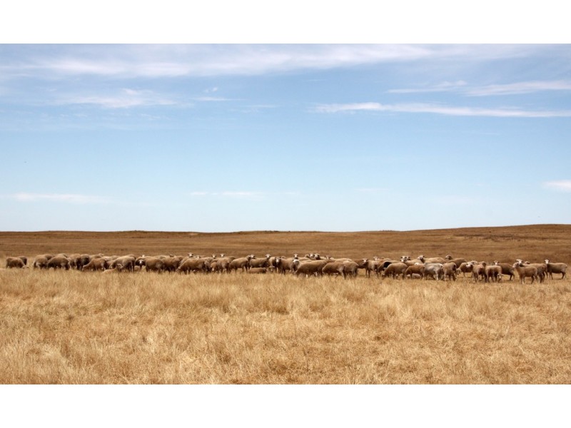 398 Martins Road, Halidon SA 5309