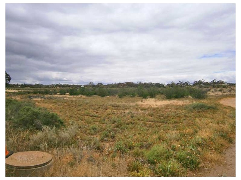 Section 467 Cadell Valley Road, Cadell SA 5321