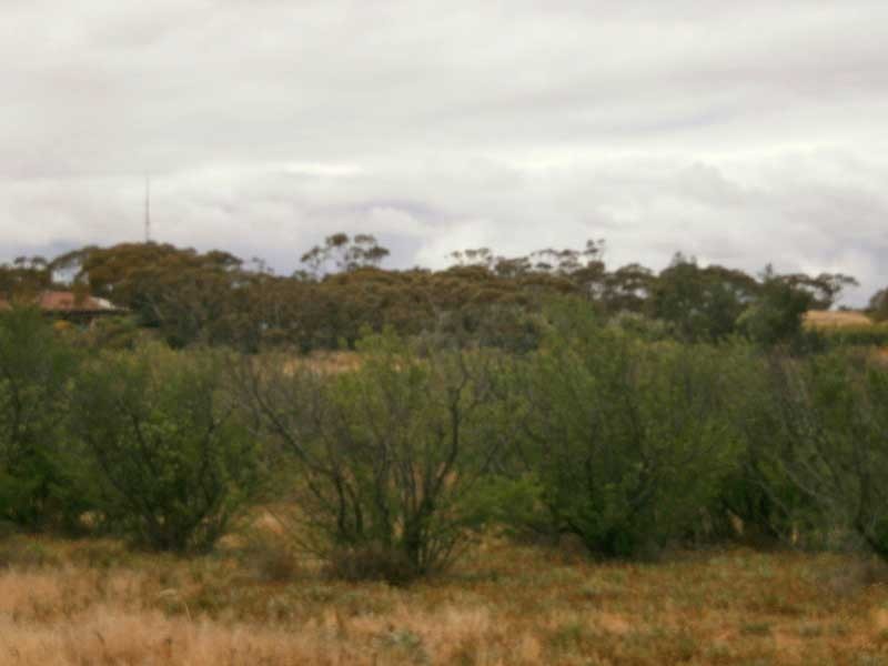 Section 467 Cadell Valley Road, Cadell SA 5321