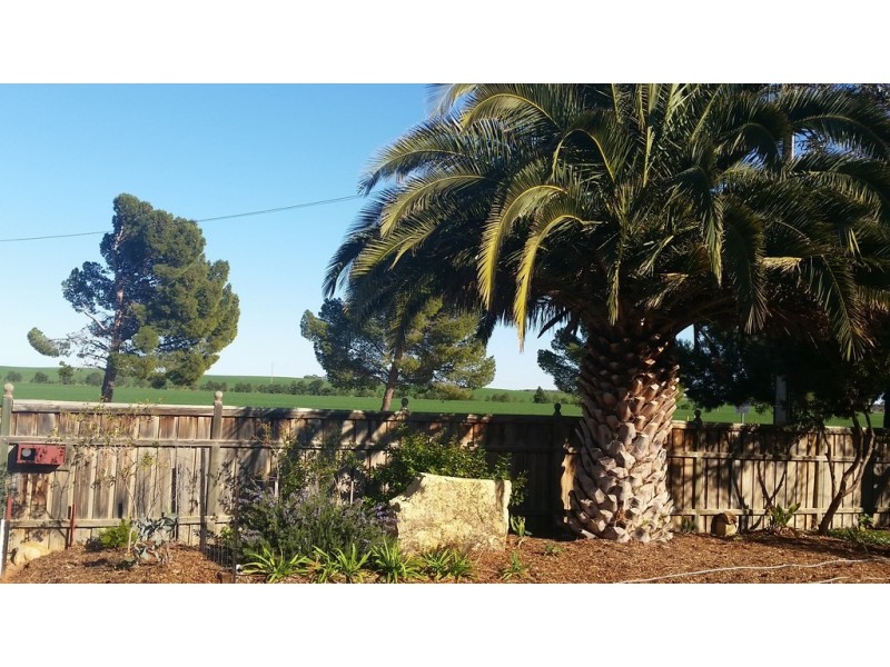 145 Paruna Road, Loxton SA 5333