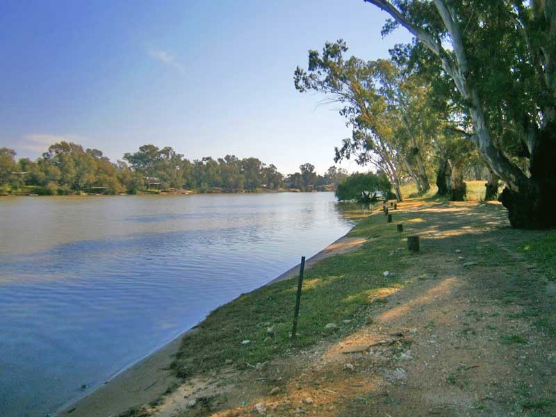 71 Apold Road – Pine Village, Morgan SA 5320