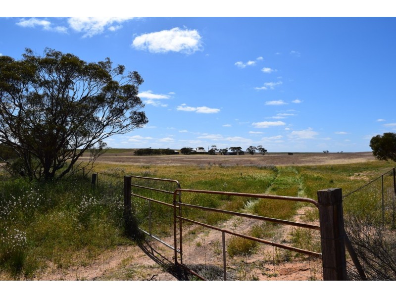 21 McCabe Road, Mindarie SA 5309