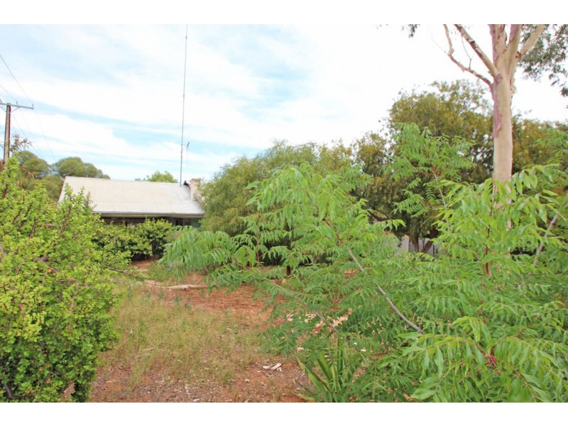 42 Pauline Street, Paringa SA 5340