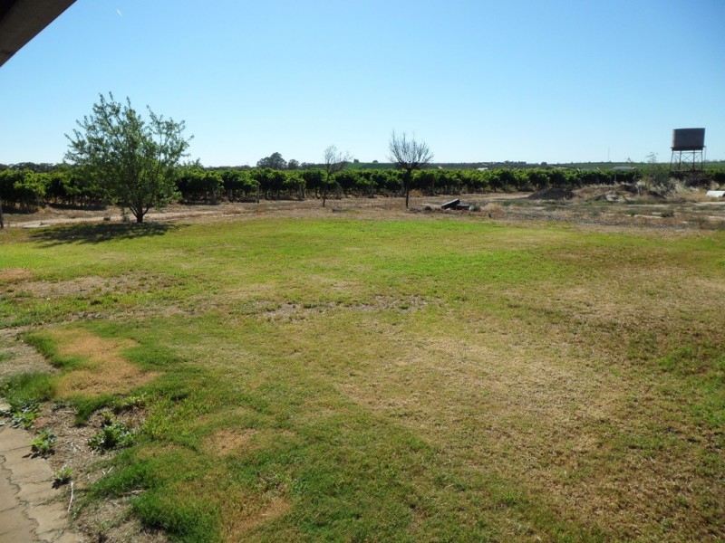 18 Walling Place, Lyrup SA 5343