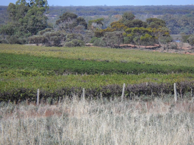 1353 Kingston Road, Pyap SA 5333