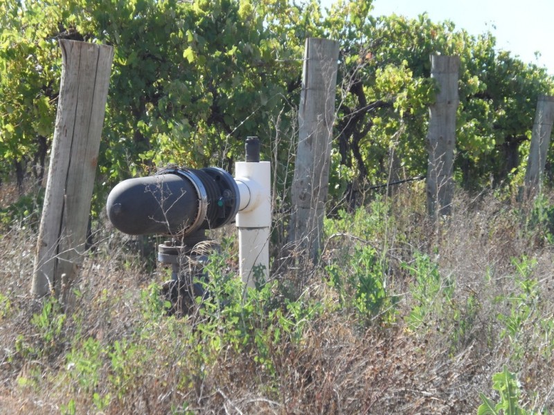 1353 Kingston Road, Pyap SA 5333