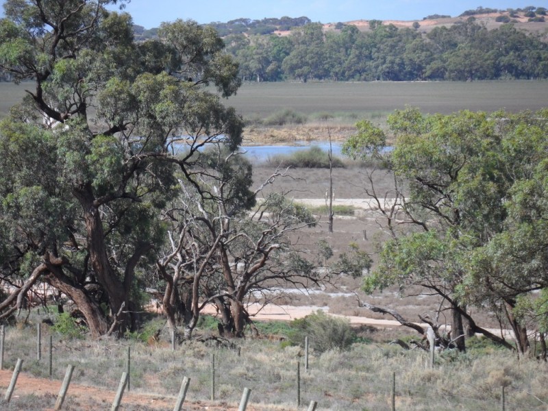 1353 Kingston Road, Pyap SA 5333