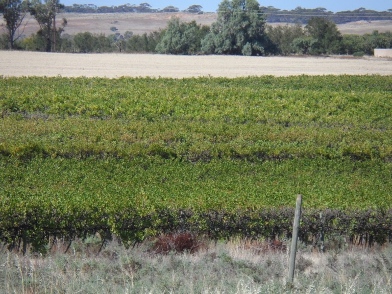 1353 Kingston Road, Pyap SA 5333 Floorplan