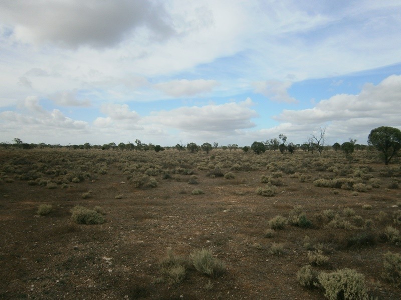 Lot 36 McKay Road, Blanchetown SA 5357