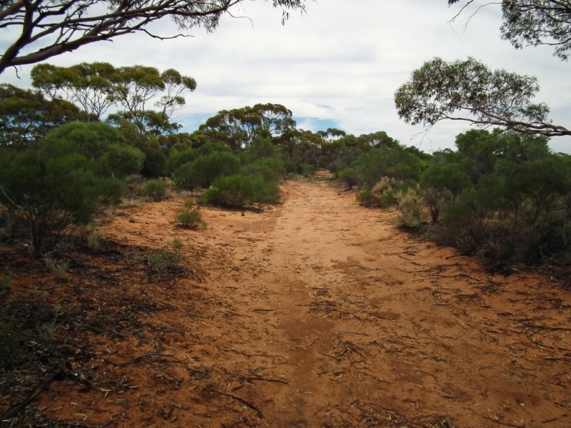 Section 386 Ral Ral Avenue, Cooltong SA 5341