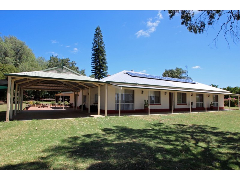 109 Old Cooltong Avenue, Renmark SA 5341