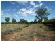 Lot 101 Kulkyne Street, Renmark SA 5341