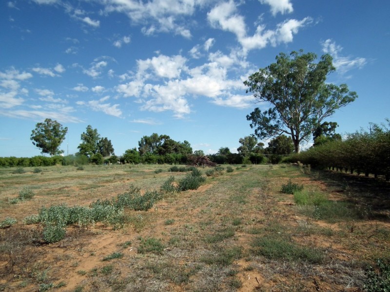 Lot 101 Kulkyne Street, Renmark SA 5341