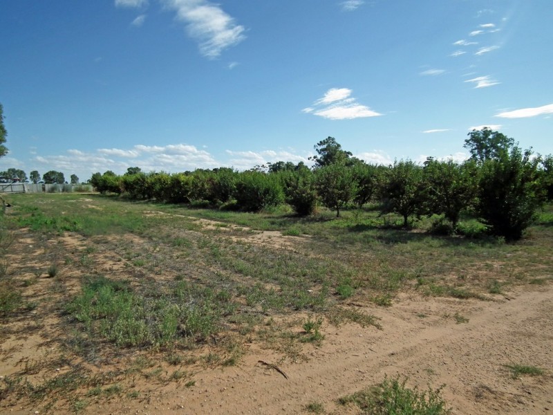 Lot 101 Kulkyne Street, Renmark SA 5341