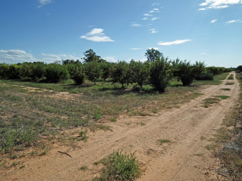 Lot 101 Kulkyne Street, Renmark SA 5341