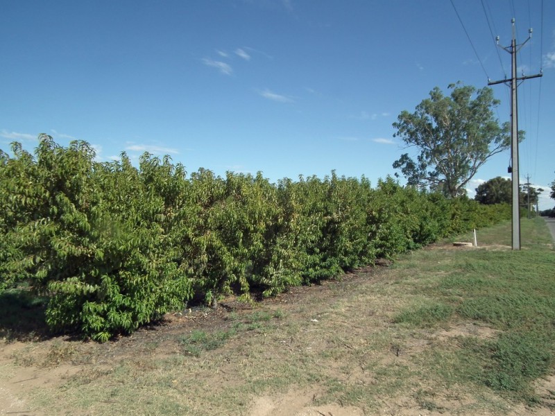 Lot 101 Kulkyne Street, Renmark SA 5341