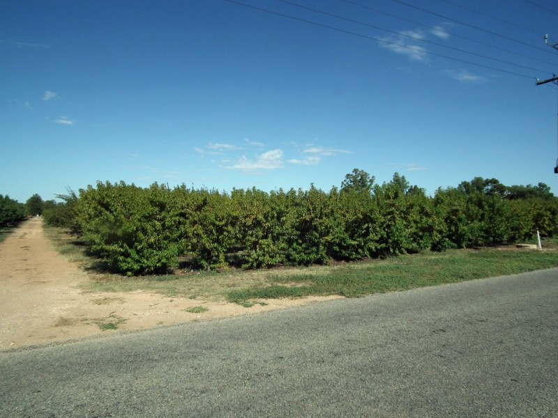 Lot 101 Kulkyne Street, Renmark SA 5341