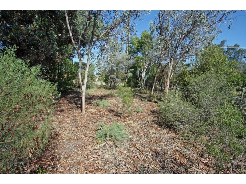 8 Alamein Avenue, Loxton North SA 5333